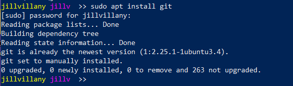 install git windows python